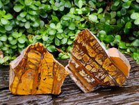 Polished On One Side Nguni Jasper Slices x 2 From Northern Cape, South Africa
