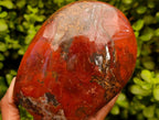 Polished Red Jasper Standing Free Form x 1 From Madagascar
