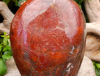 Polished Red Jasper Standing Free Form x 1 From Madagascar