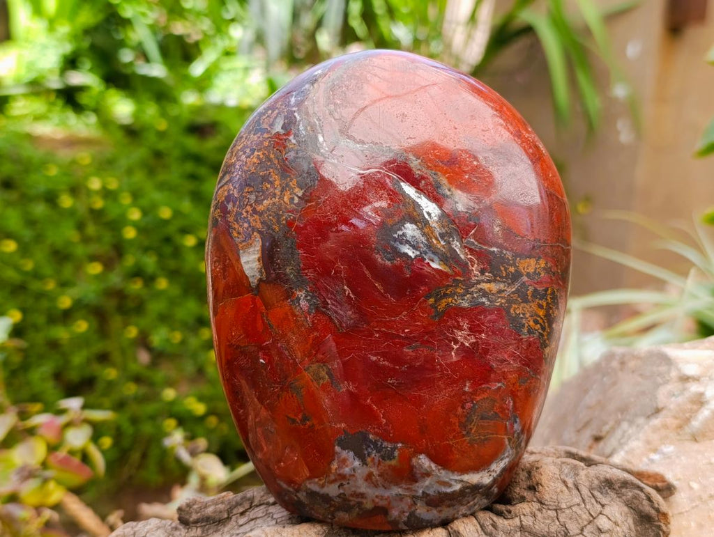 Polished Red Jasper Standing Free Form x 1 From Madagascar