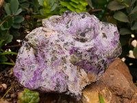 Natural Stichtite Cobbed Specimens x 3 From Barberton, South Africa