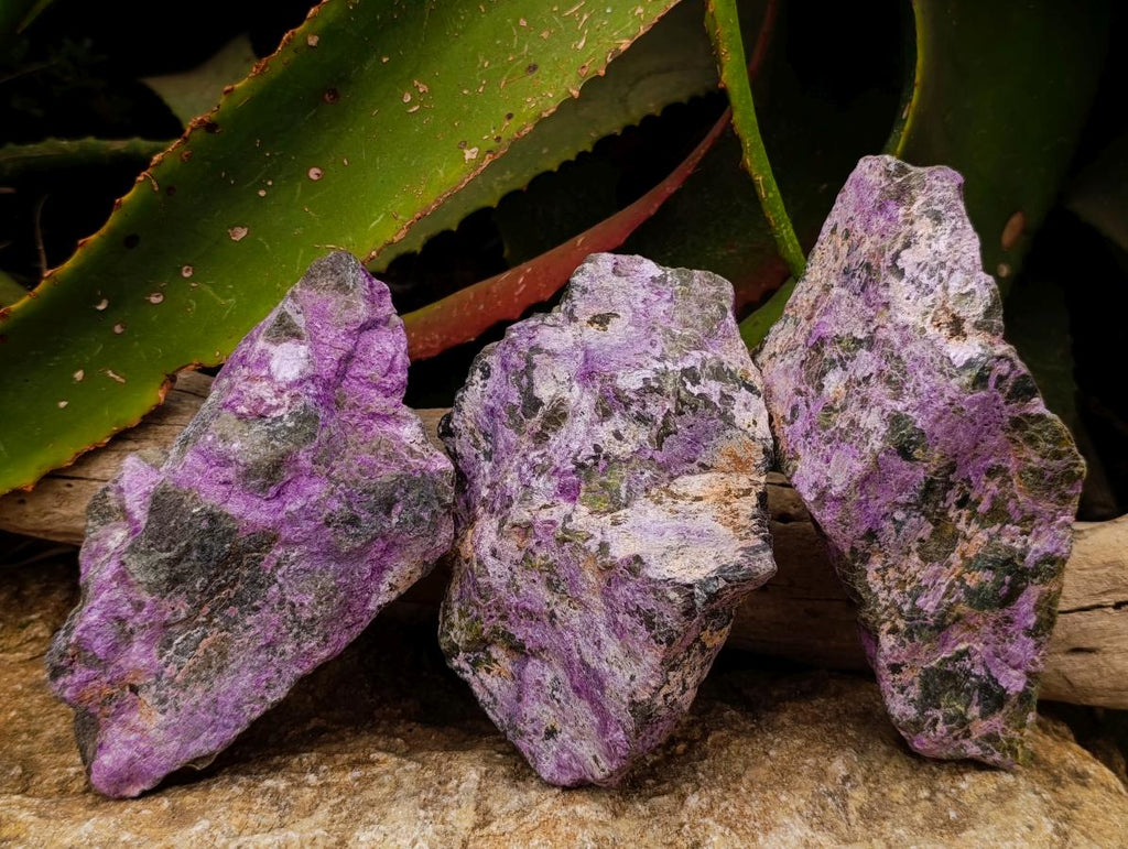 Natural Stichtite Cobbed Specimens x 3 From Barberton, South Africa