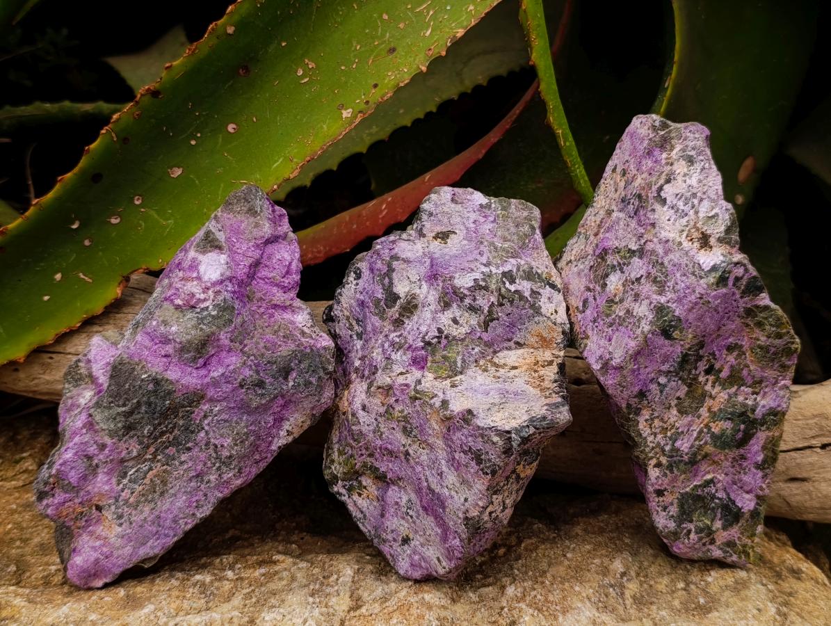 Natural Stichtite Cobbed Specimens x 3 From Barberton, South Africa