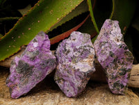 Natural Stichtite Cobbed Specimens x 3 From Barberton, South Africa