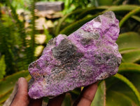 Natural Stichtite Cobbed Specimens x 3 From Barberton, South Africa