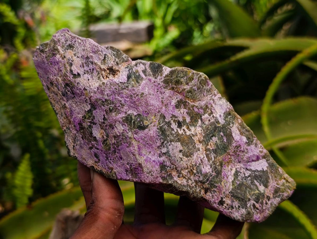 Natural Stichtite Cobbed Specimens x 3 From Barberton, South Africa