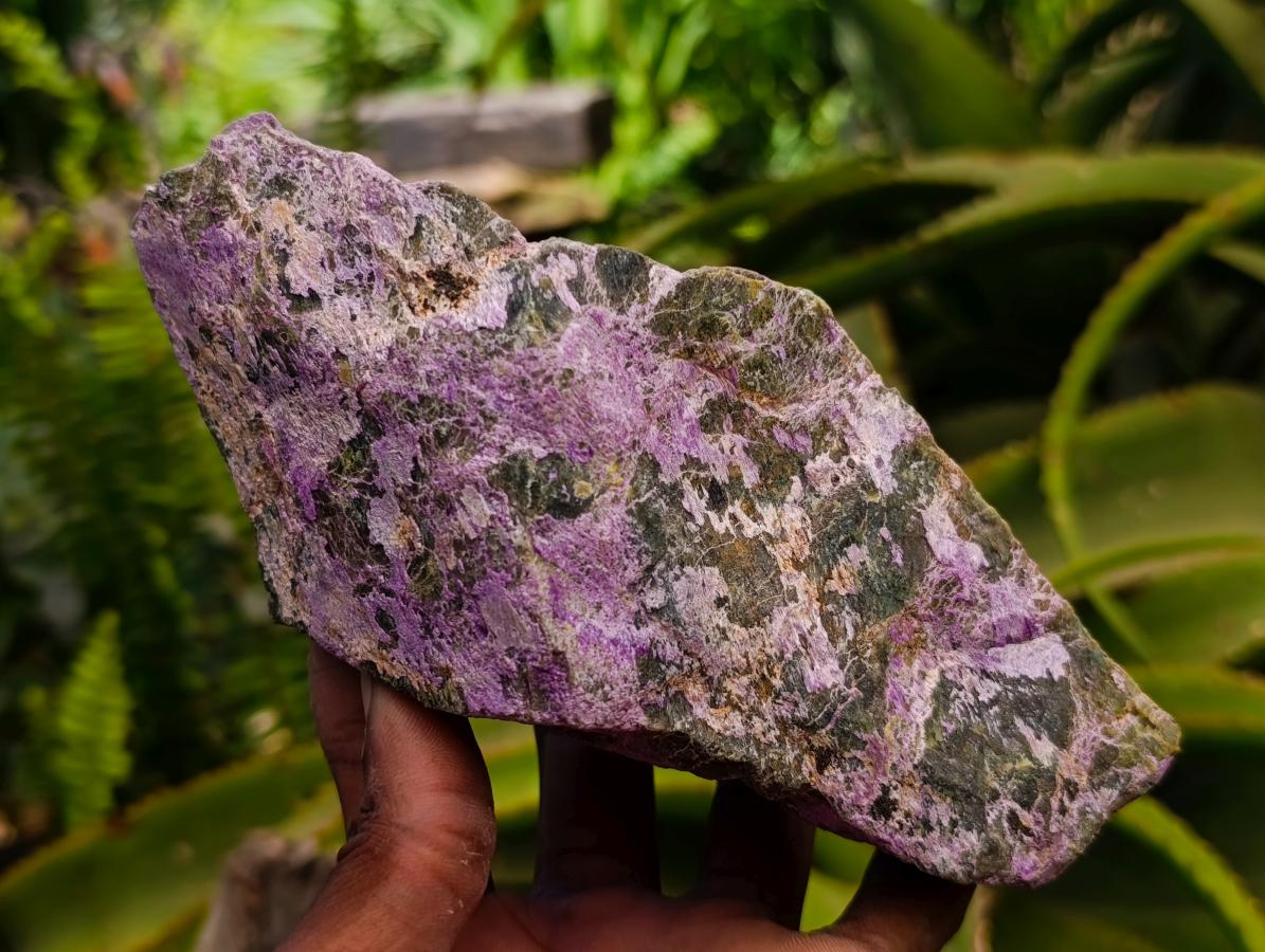 Natural Stichtite Cobbed Specimens x 3 From Barberton, South Africa