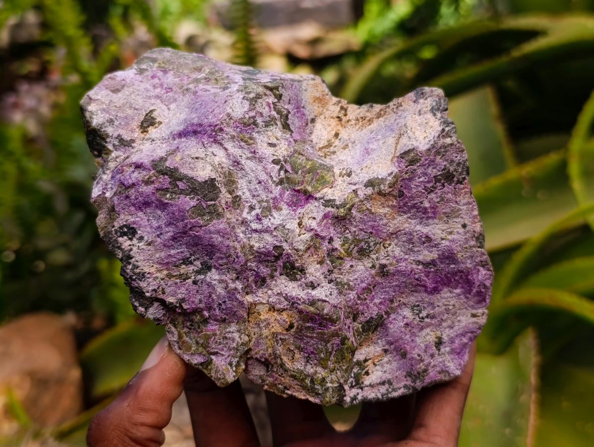 Natural Stichtite Cobbed Specimens x 3 From Barberton, South Africa