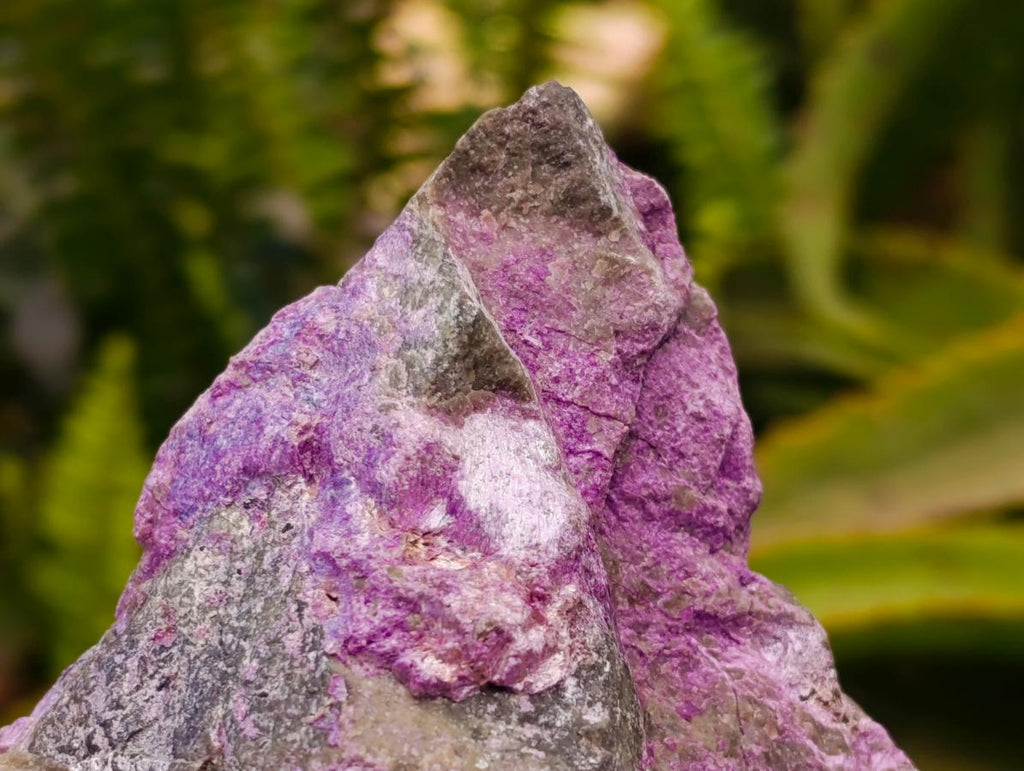 Natural Stichtite Cobbed Specimens x 3 From Barberton, South Africa