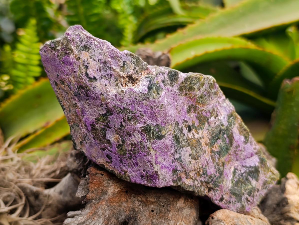 Natural Stichtite Cobbed Specimens x 3 From Barberton, South Africa