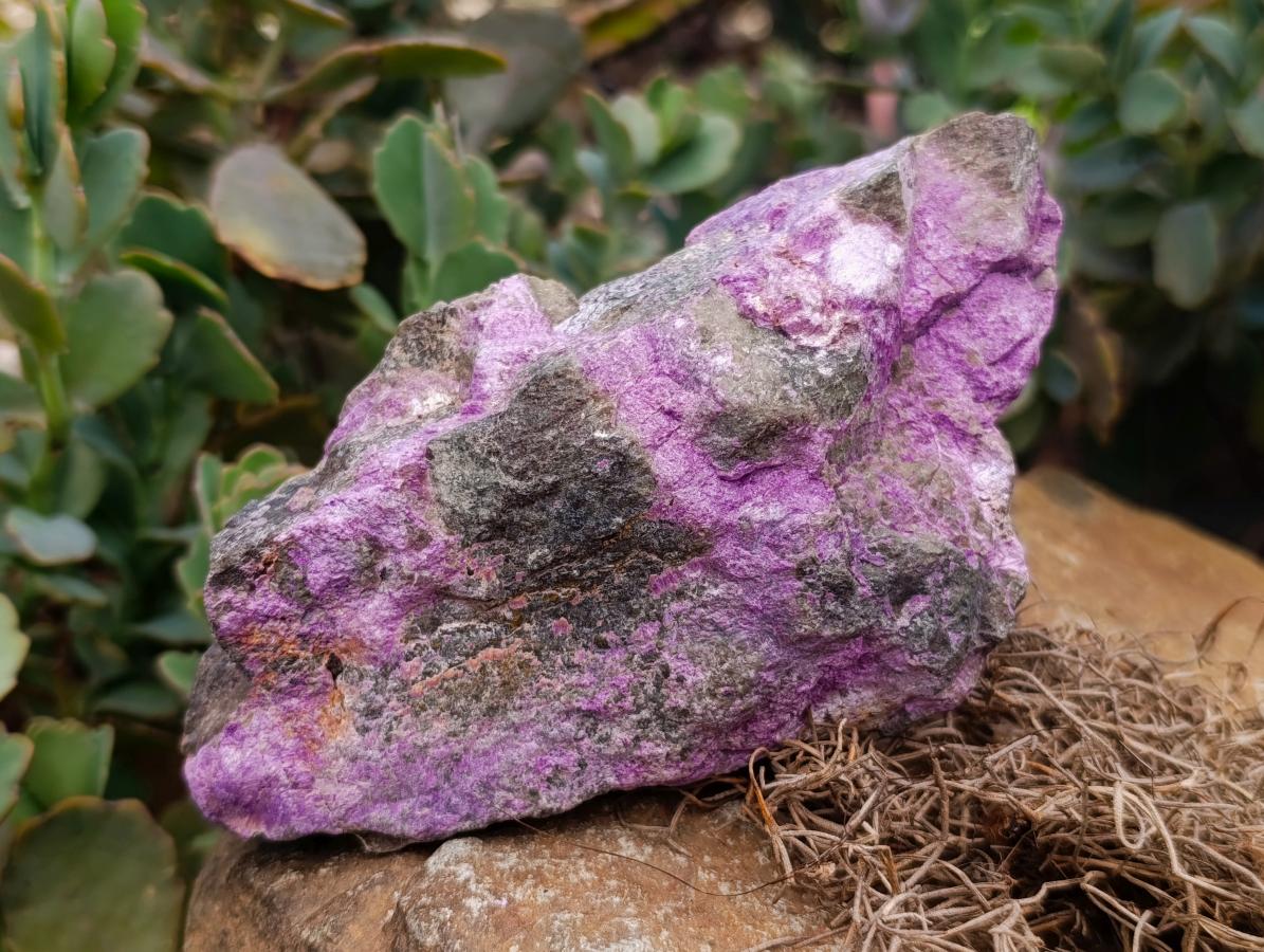 Natural Stichtite Cobbed Specimens x 3 From Barberton, South Africa