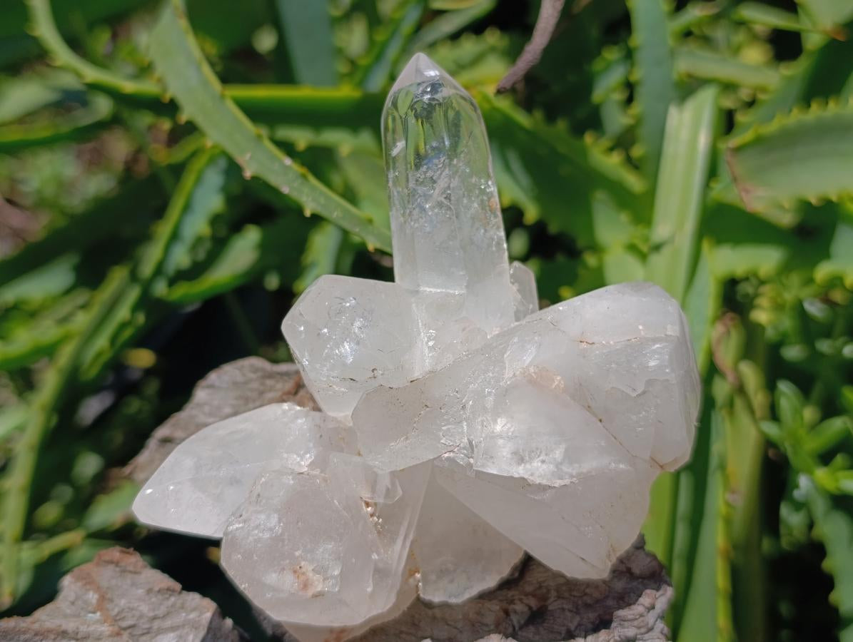 Polished Clear Quartz Clusters x 6 From Madagascar