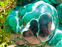 Polished XL Botryoidal Malachite With Chrysocolla Specimen x 1 From Congo