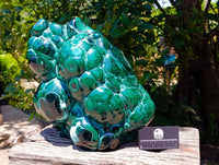 Polished XL Botryoidal Malachite With Chrysocolla Specimen x 1 From Congo