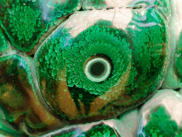 Polished XL Botryoidal Malachite With Chrysocolla Specimen x 1 From Congo