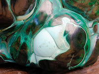 Polished XL Botryoidal Malachite With Chrysocolla Specimen x 1 From Congo
