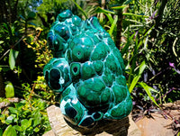Polished XL Botryoidal Malachite With Chrysocolla Specimen x 1 From Congo