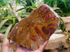 Polished On One Side Nguni Jasper Slices x 2 From Northern Cape, South Africa