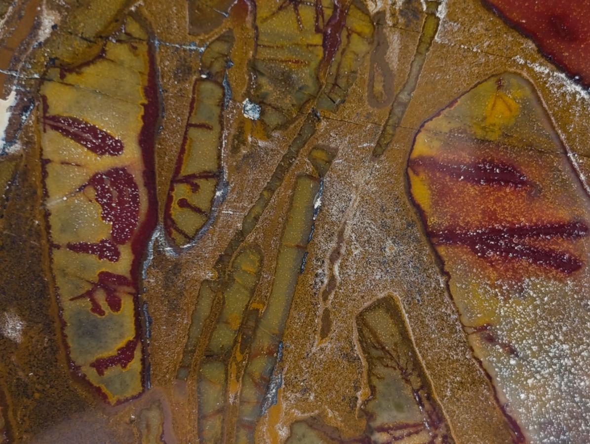 Polished On One Side Nguni Jasper Slices x 2 From Northern Cape, South Africa