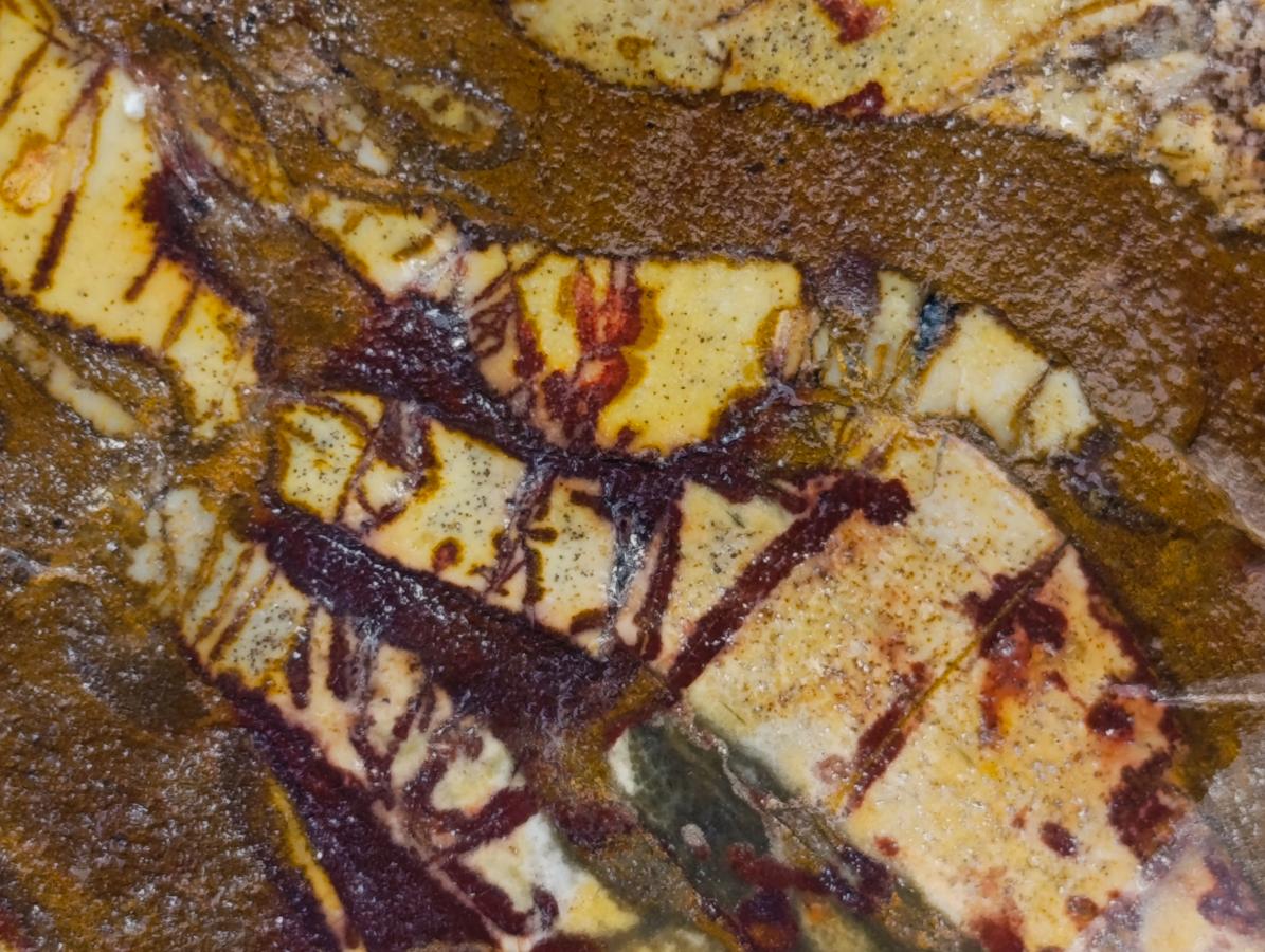 Polished On One Side Nguni Jasper Slices x 2 From Northern Cape, South Africa