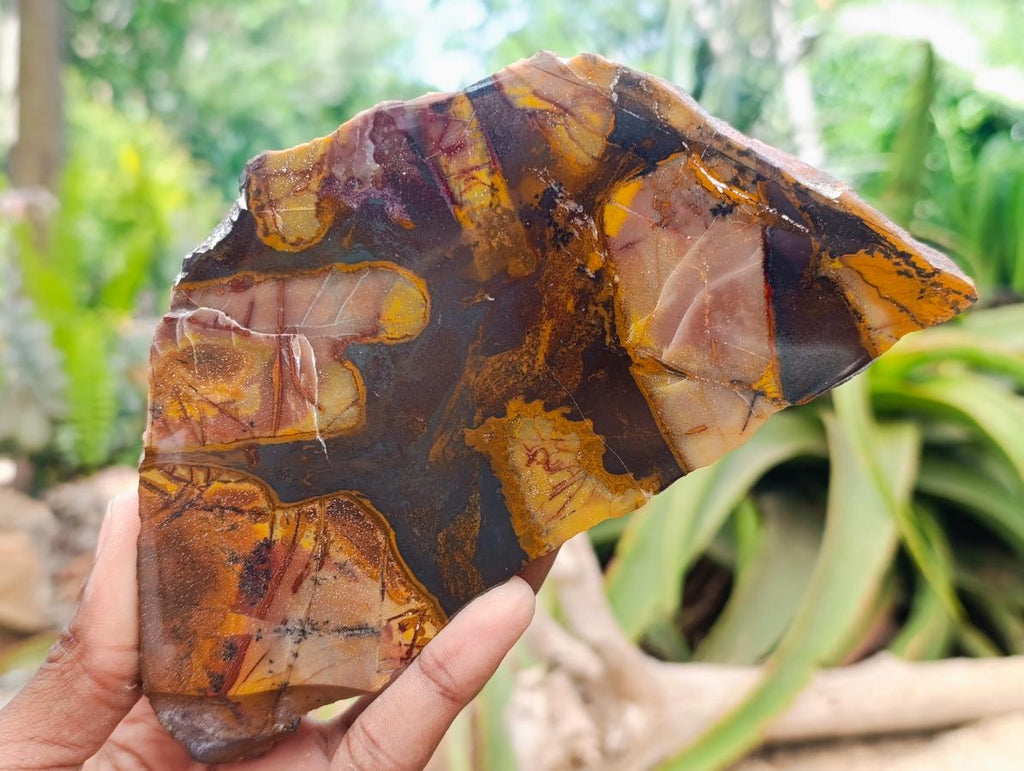 Polished On One Side Nguni Jasper Slices x 2 From Northern Cape, South Africa
