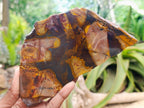 Polished On One Side Nguni Jasper Slices x 2 From Northern Cape, South Africa