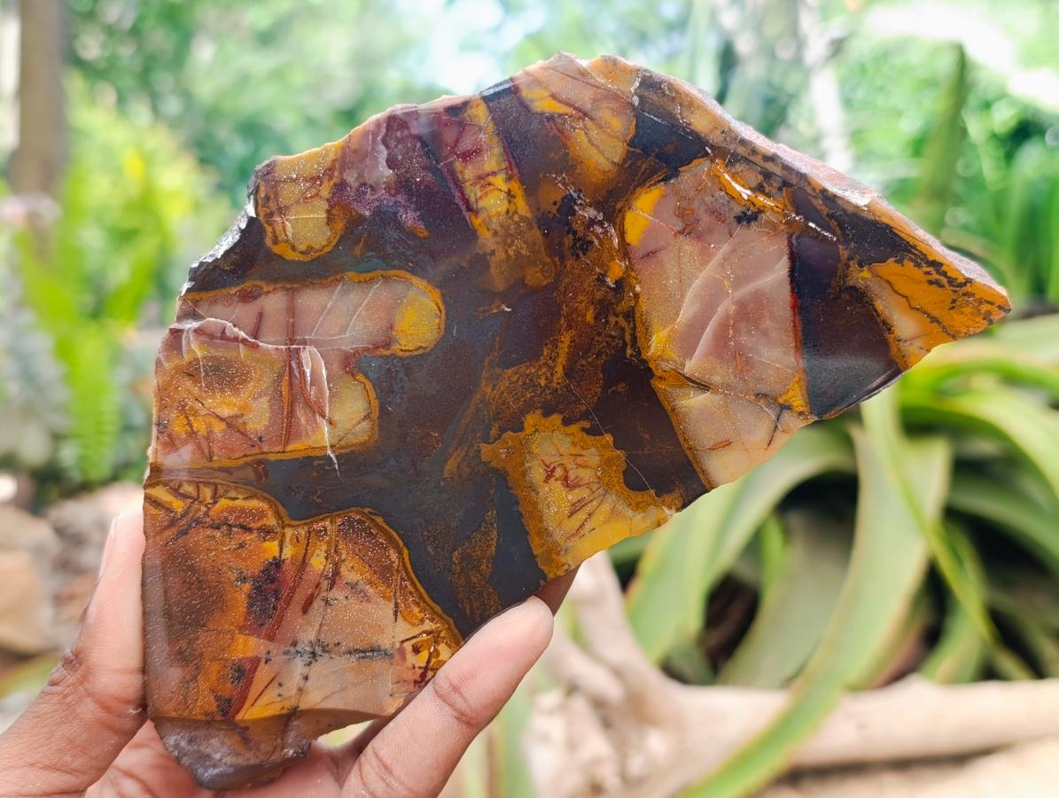 Polished On One Side Nguni Jasper Slices x 2 From Northern Cape, South Africa