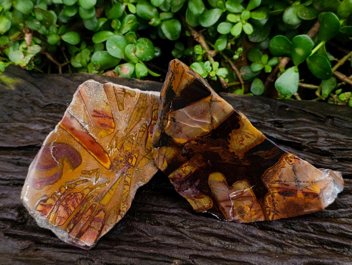 Polished On One Side Nguni Jasper Slices x 2 From Northern Cape, South Africa