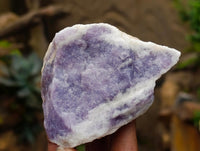 Natural Purple Lepidolite Cobbed Specimens x 14 From Desert Lion Mine, Namibia