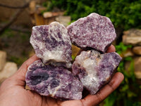Natural Purple Lepidolite Cobbed Specimens x 14 From Desert Lion Mine, Namibia