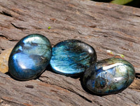 Polished Labradorite Galets x 12 From Tulear, Madagascar