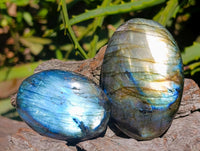 Polished Labradorite Galets x 12 From Tulear, Madagascar