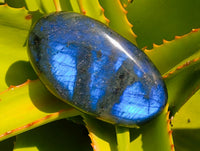Polished Labradorite Galets x 12 From Tulear, Madagascar