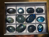 Polished Labradorite Galets x 12 From Tulear, Madagascar