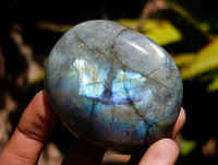 Polished Labradorite Galets x 12 From Tulear, Madagascar