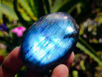 Polished Labradorite Galets x 12 From Tulear, Madagascar