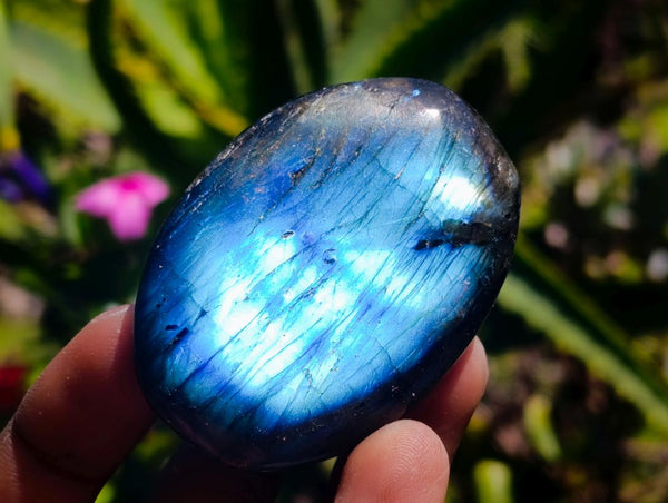 Polished Labradorite Galets x 12 From Tulear, Madagascar