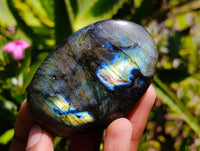 Polished Labradorite Galets x 12 From Tulear, Madagascar