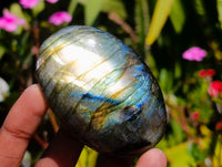 Polished Labradorite Galets x 12 From Tulear, Madagascar