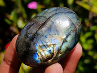 Polished Labradorite Galets x 12 From Tulear, Madagascar