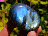 Polished Labradorite Galets x 12 From Tulear, Madagascar