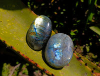Polished Labradorite Galets x 12 From Tulear, Madagascar
