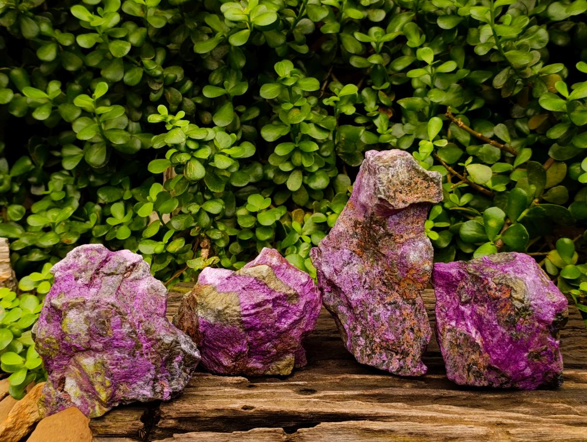 Natural Stichtite Cobbed Specimens x 4 From Barberton, South Africa