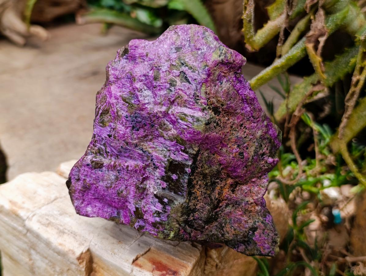 Natural Stichtite Cobbed Specimens x 4 From Barberton, South Africa