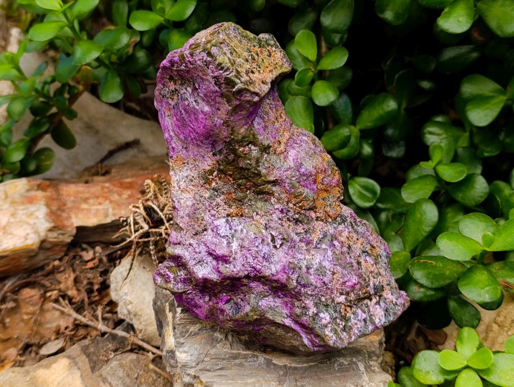 Natural Stichtite Cobbed Specimens x 4 From Barberton, South Africa