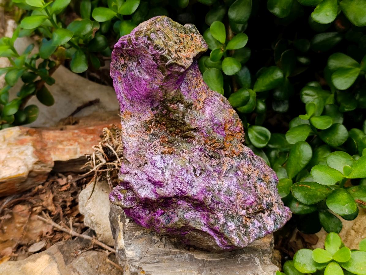 Natural Stichtite Cobbed Specimens x 4 From Barberton, South Africa