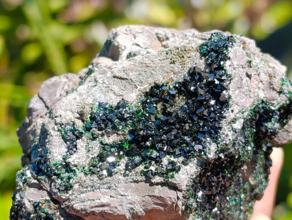 Natural Libethenite Crystals On Dolomite Matrix Specimens x 3 From Shituru, Congo