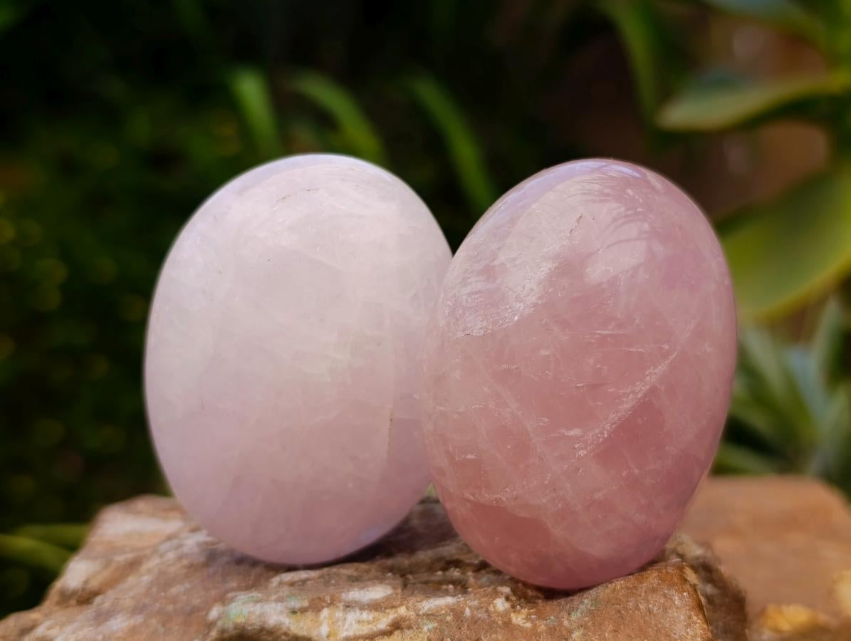 Polished Rose Quartz Palm Stones x 12 From Madagascar