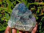 Natural Watermelon Fluorite Cobbed Specimens x 12 From Uis, Namibia