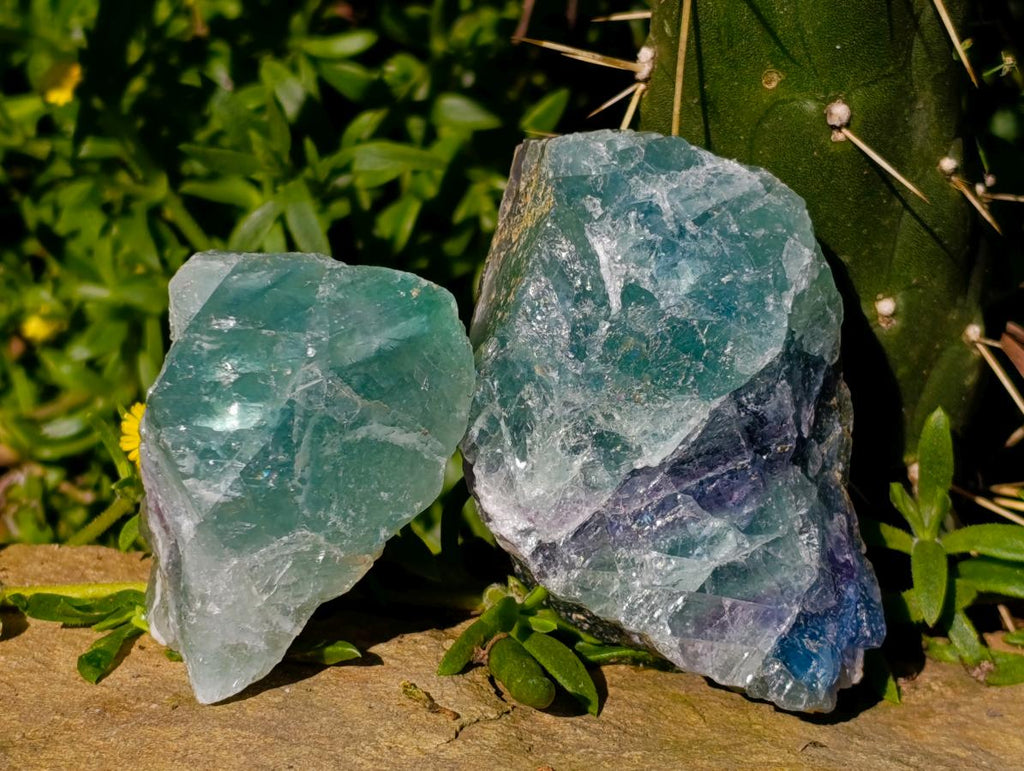Natural Watermelon Fluorite Cobbed Specimens x 12 From Uis, Namibia